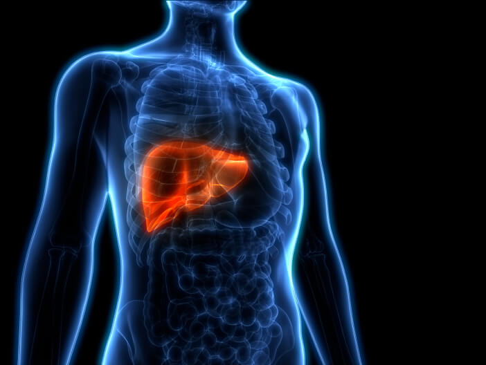 liver